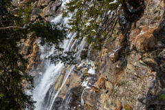 DSC_5986