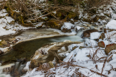 DSC_6067