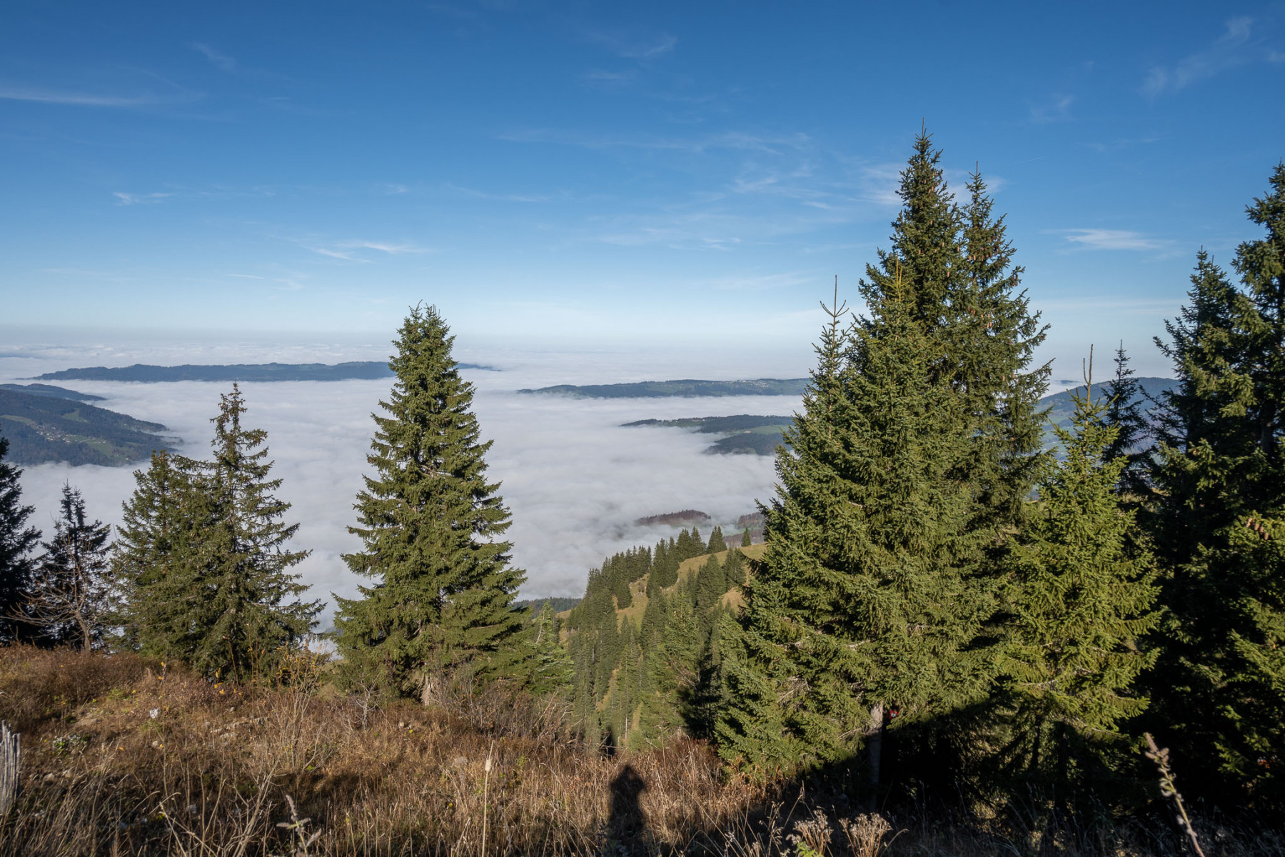 Geschützt: Bezau – Niedere