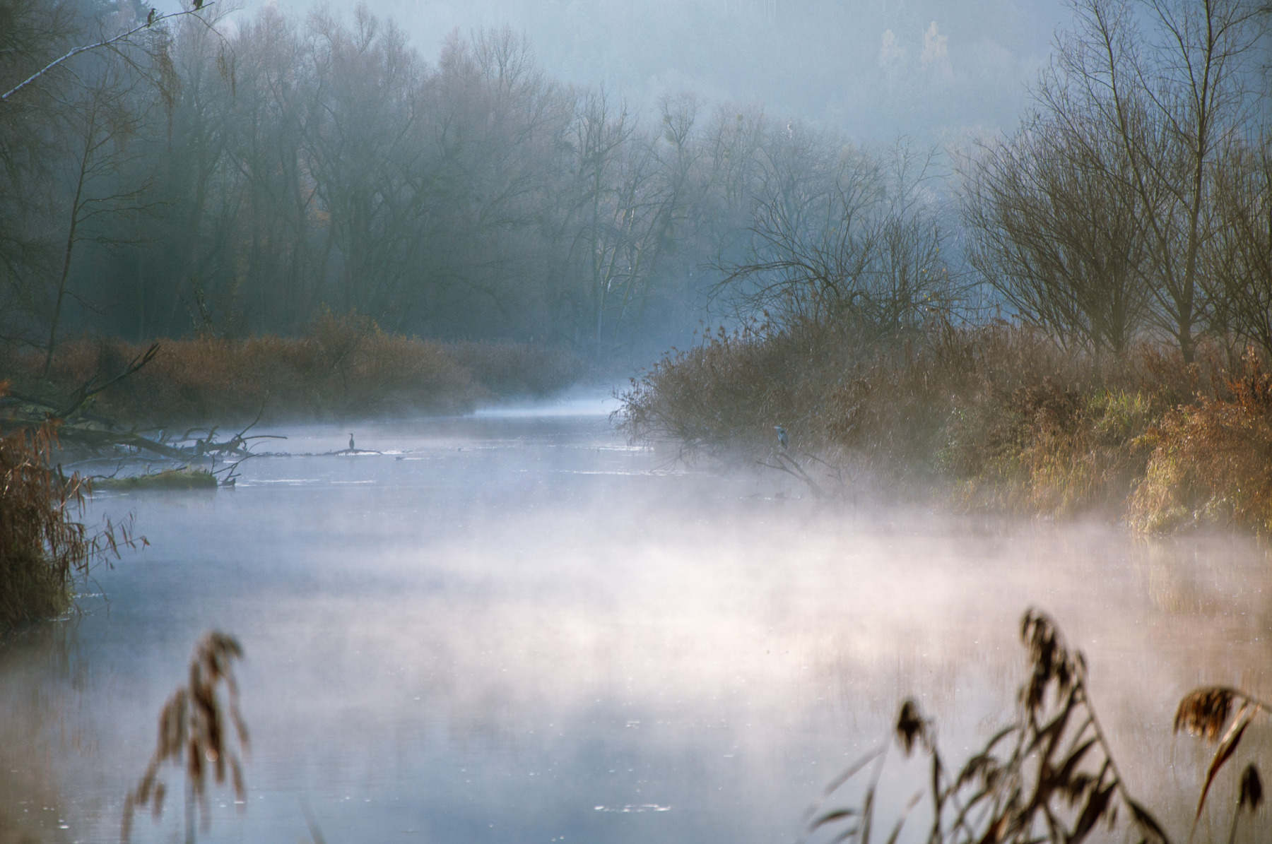 Rheindelta mit meiner alten D90