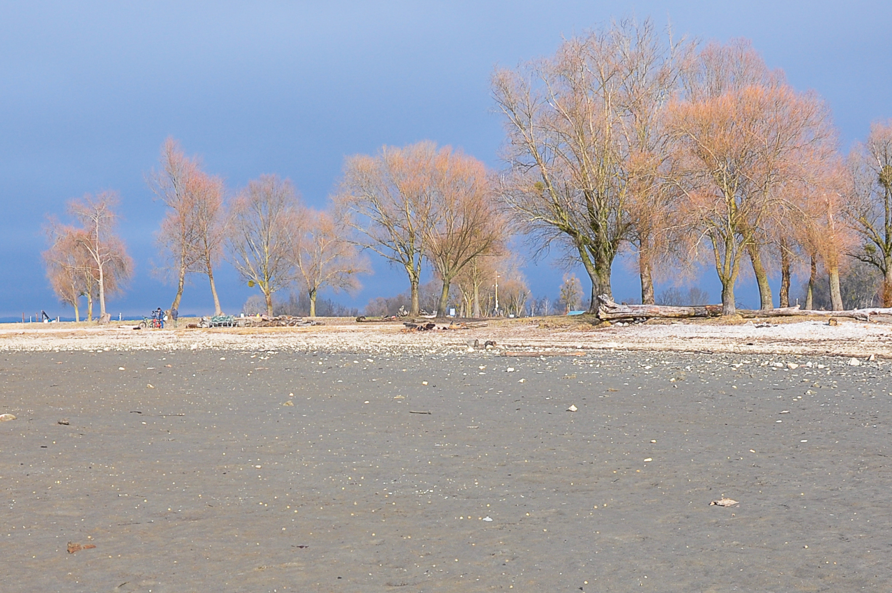 Am See 31.1.2026 Isabella und Georg