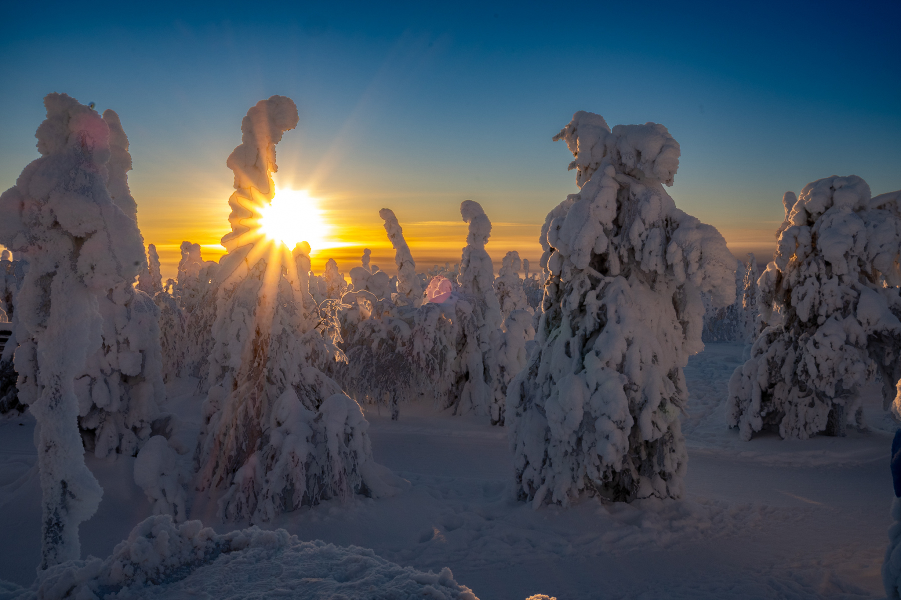 Wanderung zum Hotel auf dem Berg (Iso-Syöte) -26° Grad