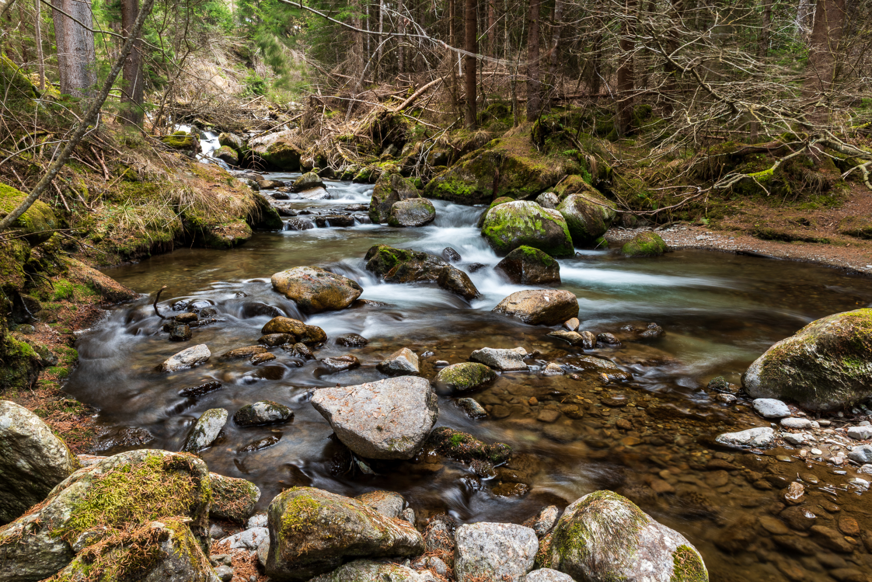 Fließendes Wasser des Horlachbaches unterhalb des Stuibenfalles